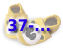 Gr. ab 37